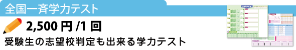 e点ネット塾の全国一斉学力テスト e点ネット塾の全国一斉学力テスト 2500円